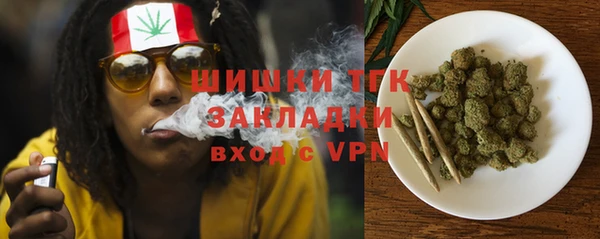 твердый Абаза