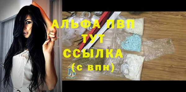 твердый Абаза