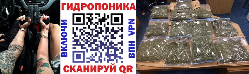 Канабис гибрид  Хилок 
